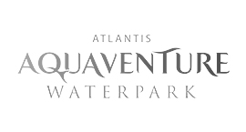 Aquaventure Waterpark